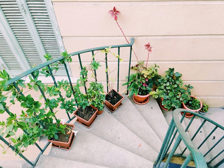 balcony garden d cor ideas